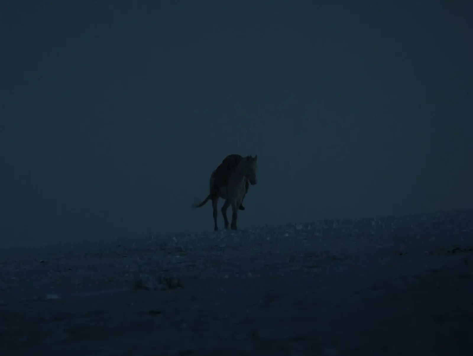 《馬冢》 / Graveyard of Horses